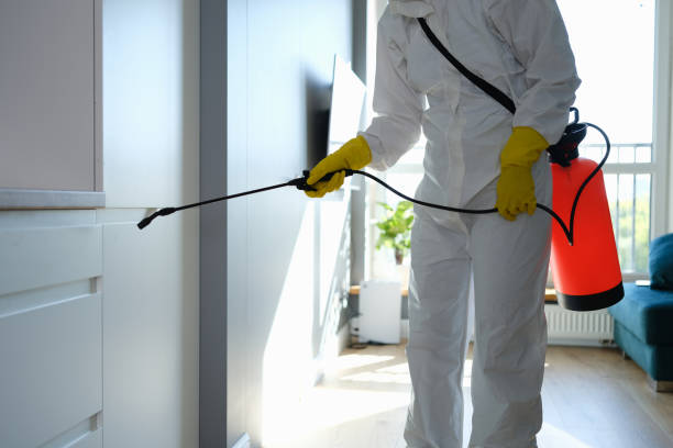 Best Mold Testing  in Arlington Heights, IL